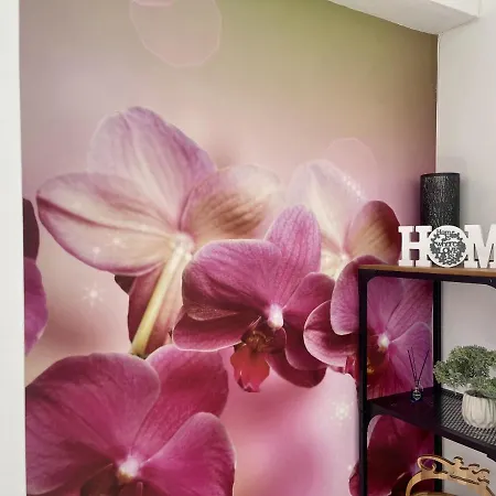 Apartamento Torre Colon Benidorm