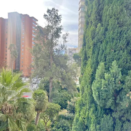 Torre Colon *